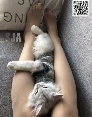 午夜福利1_DVD高清完整版播放